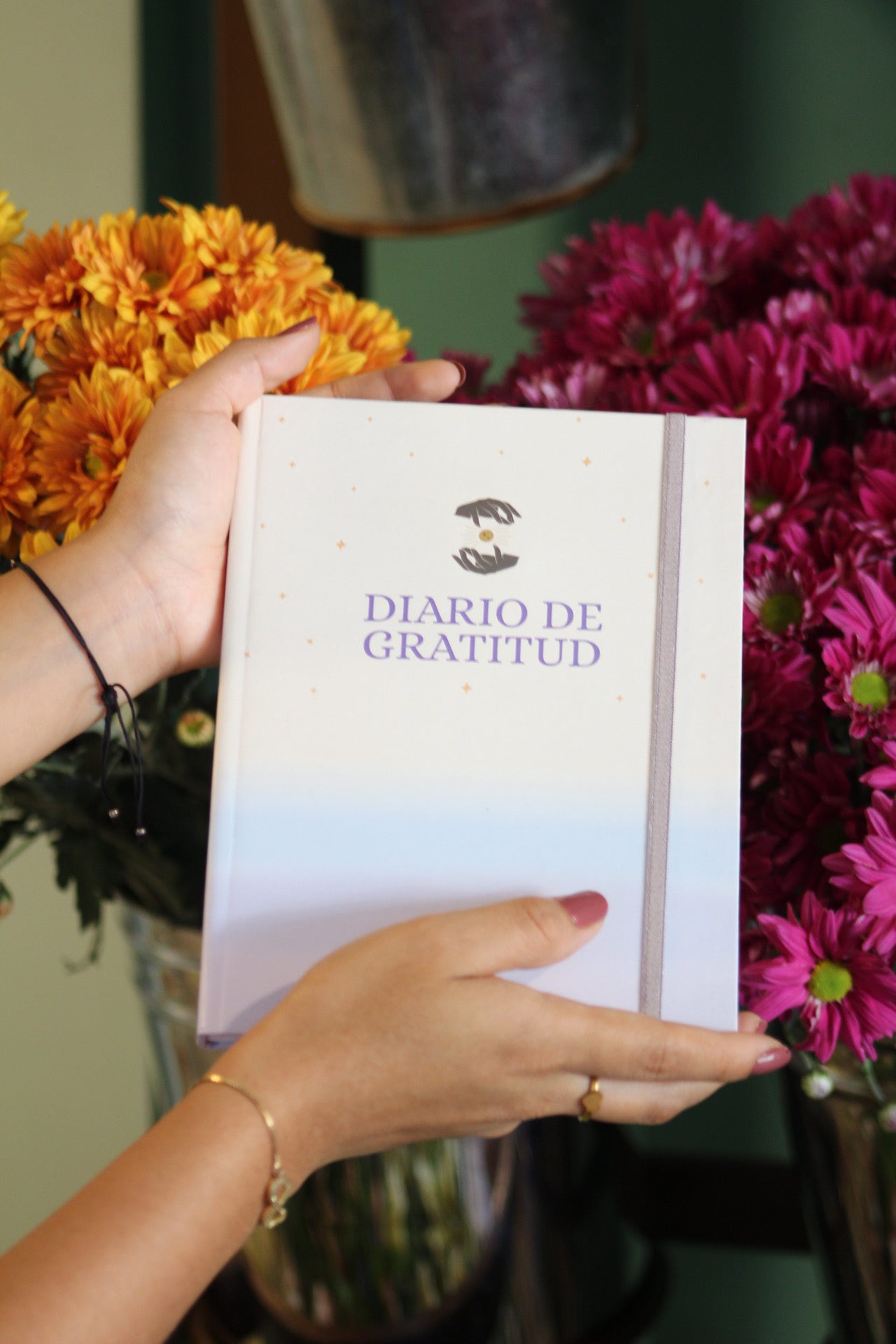 Diario de Gratitud